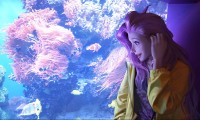 凯尔特人统治常规赛，双探花组合剑指总冠军。，凯尔特人双探花受伤