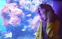 凯尔特人统治常规赛，双探花组合剑指总冠军。，凯尔特人双探花受伤